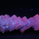 Halita
8 x 2,5 x 2 cm
(Autor: Antonio Alcaide)