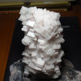 Halita
70x140 mm
(Autor: Ignacio)