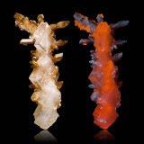Halita + Yeso
8,0 x 10,5 x 24,0 cm
(Autor: Josele)