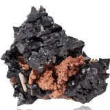 Hausmannita en Andradita
7 x 6.5 x 5.5 cm / Cristal principal: 1 cm
(Autor: Museo MIM)