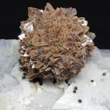 Genthelvita en Dolomita
agregado esferoide de cristales: 25x25 mm
(Autor: Ramon A  Lopez Garcia)