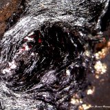 Hematites.
4´633 x 4´266 mm.
(Autor: Jesus Franquesa Baucells)
