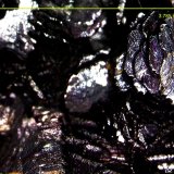Hematites.
3´78 x 2´68 mm.
(Autor: Jesus Franquesa Baucells)