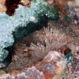 Hemimorfita y Rosasita.
1´083 x 0´805 mm.
(Autor: Jesus Franquesa Baucells)