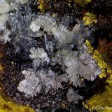 Hemimorfita.
4´26 x 4´12 mm.
(Autor: Jesus Franquesa Baucells)