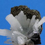 Hemimorfita
30x30mm
(Autor: Ramon A  Lopez Garcia)