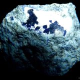 Henmilita.
35x25 mm.
(Autor: Jesus Franquesa Baucells)