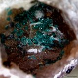 Herbertsmithita
3´248 x 3´062mm.
(Autor: Jesus Franquesa Baucells)