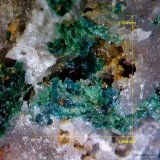 Herbertsmithita y Malaquita.
2´264 x 1´858 mm.
(Autor: Jesus Franquesa Baucells)