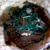 Herbertsmithita
3´248 x 3´062mm.
(Autor: Jesus Franquesa Baucells)