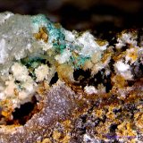 Herbertsmithita.
2´538 x 1´661 mm.
(Autor: Jesus Franquesa Baucells)