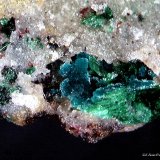 Herberthsmithita y Malaquita.
2´649 x 2´503 mm.
(Autor: Jesus Franquesa Baucells)