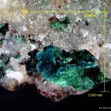 Herberthsmithita y Malaquita.
2´649 x 2´503 mm.
(Autor: Jesus Franquesa Baucells)