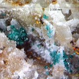 Herbertsmithita.
2´550 x 1´538 mm.
(Autor: Jesus Franquesa Baucells)