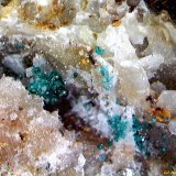 Herbertsmithita.
2´550 x 1´538 mm.
(Autor: Jesus Franquesa Baucells)