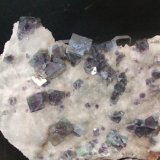 Fluorita
Pieza 10x8 cm.; cristal mayor 1´5 cm.
(Autor: Nieves)