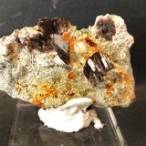 Axinita-(Fe)
Pieza 5x4 cm.; cristales 1 cm.
(Autor: Nieves)