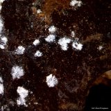 Hidrozincita.
2´631 x 2´294 mm.
(Autor: Jesus Franquesa Baucells)