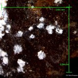 Hidrozincita.
2´631 x 2´294 mm.
(Autor: Jesus Franquesa Baucells)