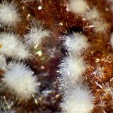 Hidroxilapatito
Detalle
(Autor: José Luis Zamora)