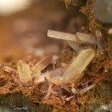 Anglesita
Campo de visión de 3 mm.
(Autor: Antonio Carmona)