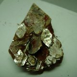 Moscovita
5 x 3 x 2 cm.
(Autor: P. apita)