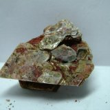 Moscovita
5 x 3 x 2 cm.
(Autor: P. apita)