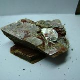 Moscovita
5 x 3 x 2 cm.
(Autor: P. apita)