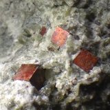 Pirita
2 cm
(Autor: Obsi)