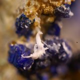 Azurita y yeso
0'5 cm. ancho de campo
(Autor: chatero15)