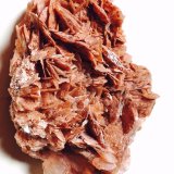 Yeso
7x4 cm
(Autor: Obsi)