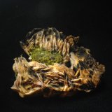 Mimetita
5x4 cm
(Autor: Obsi)