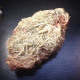Yeso
7x5 cm
(Autor: Obsi)