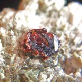 Rutilo
Cristal 6 mm.
(Autor: Nieves)