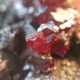 Cinabrio
Cristal 8 mm.
(Autor: Nieves)