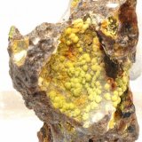 (Autor: Martí Rafel)