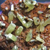 Piromorfita
Cristales 8 mm.
(Autor: Nieves)