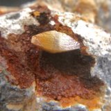 Wulfenita
Cristal 8 mm.
(Autor: Nieves)