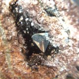 Tetraedrita
Cristal 5 mm.
(Autor: Nieves)