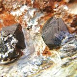 Magnetita
Cristales 1 cm.
(Autor: Nieves)