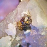 Pirargirita, Calcopirita y Estefanita (Stephanita)
Conjunto de cristales 4mm.
(Autor: Nieves)