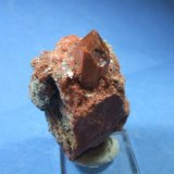 (Autor: Nieves)