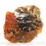 (Autor: Martí Rafel)