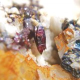 Anatasa
Cristal 5 mm.
(Autor: Nieves)