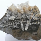 (Autor: Martí Rafel)
