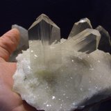 Yeso
17x11 cm.
(Autor: jaume.vilalta)