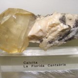 (Autor: jaume.vilalta)