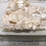 (Autor: jaume.vilalta)