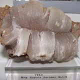 Yeso
13x7 cm
(Autor: jaume.vilalta)