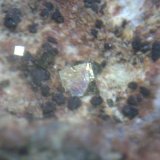 Pirita
Cristal de 3 mm.
(Autor: P. apita)